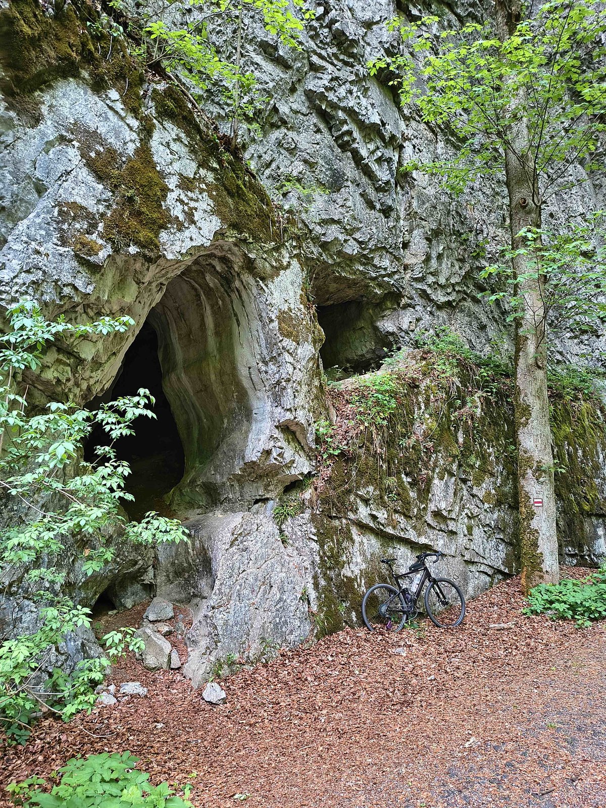 Moravian Karst Canyon & Macocha Abyss — photo 4