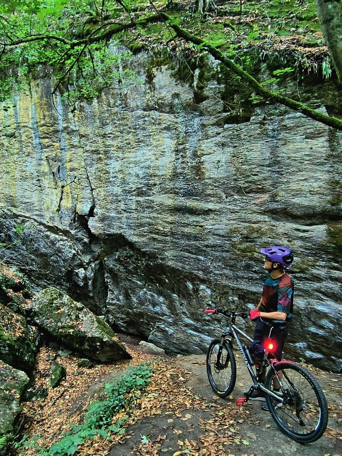 Moravian Karst Canyon & Macocha Abyss — photo 14