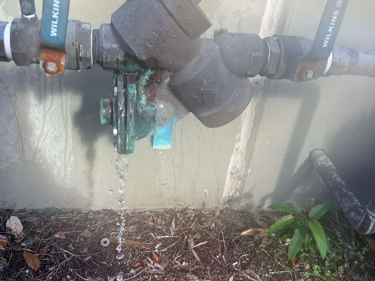 Wilkins backflow assembly requiring repair — water dripping from relief valve
