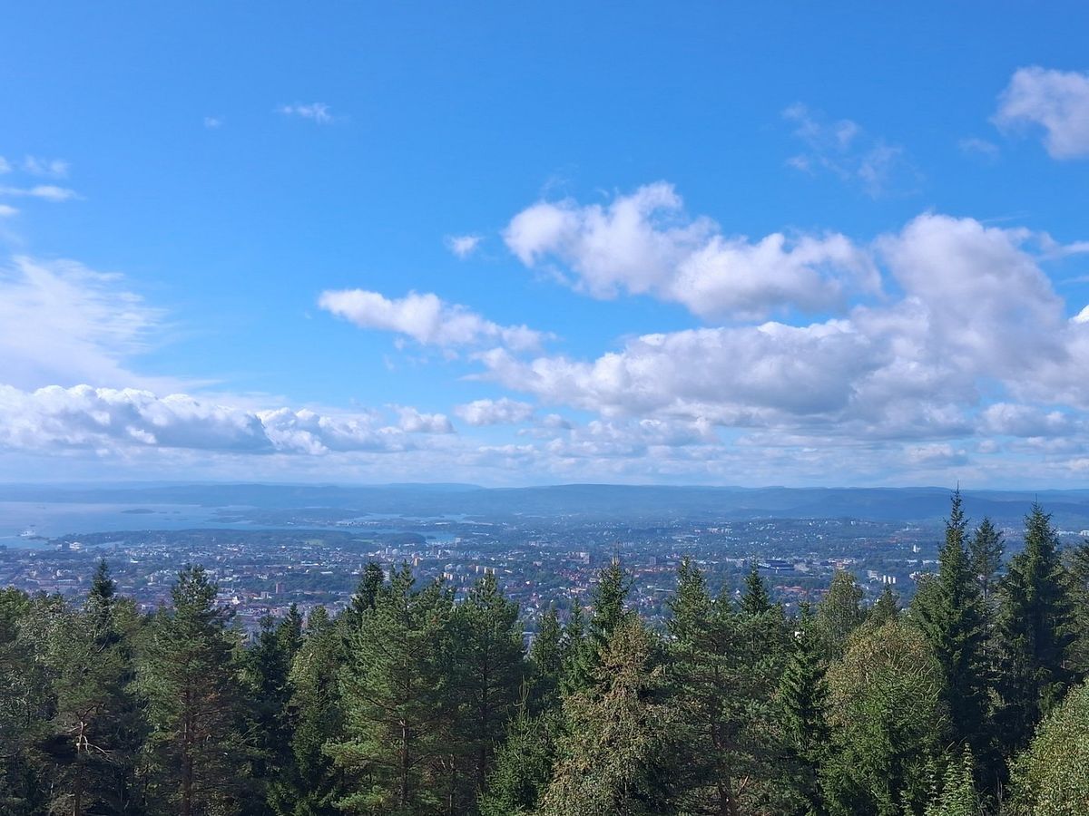 View over Oslo and the Oslofjord from Grefsenkollen