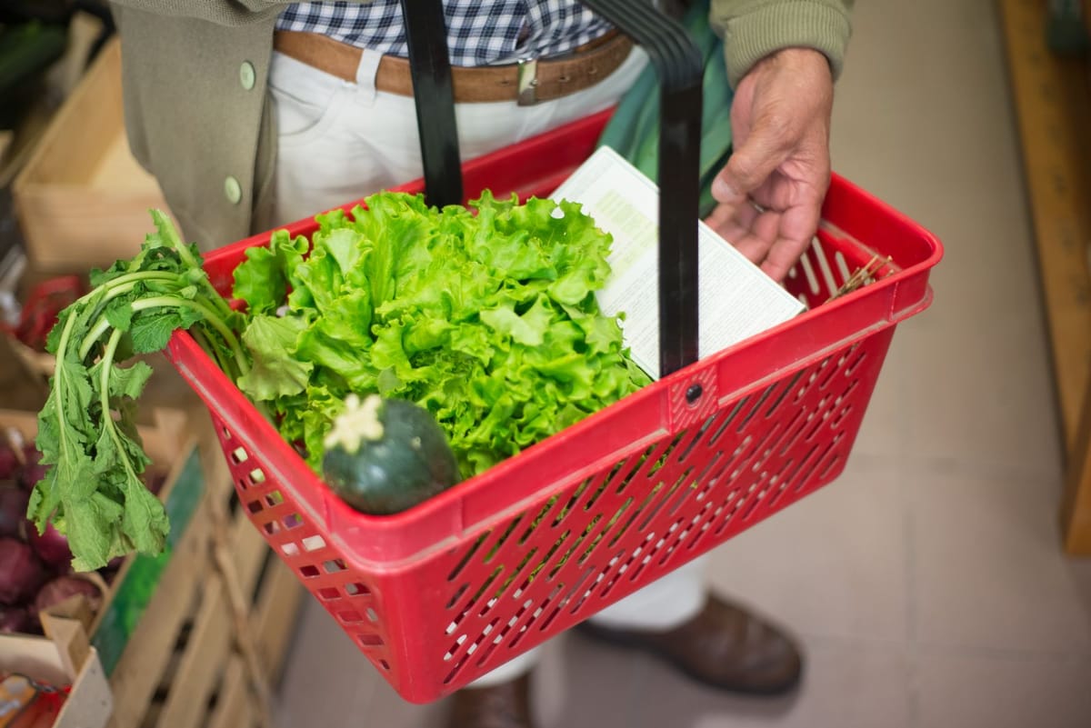 A hand carrying a shopping basket filled with fresh vegetables