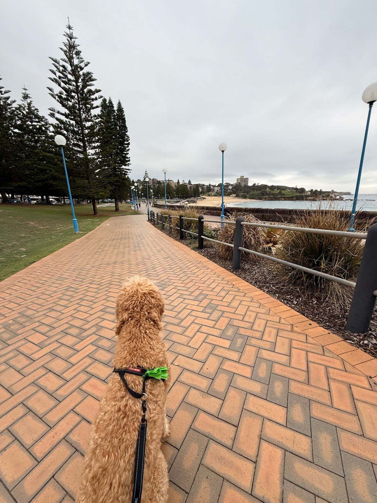 The promenade at Coogee Beach in Sydney on a summer day