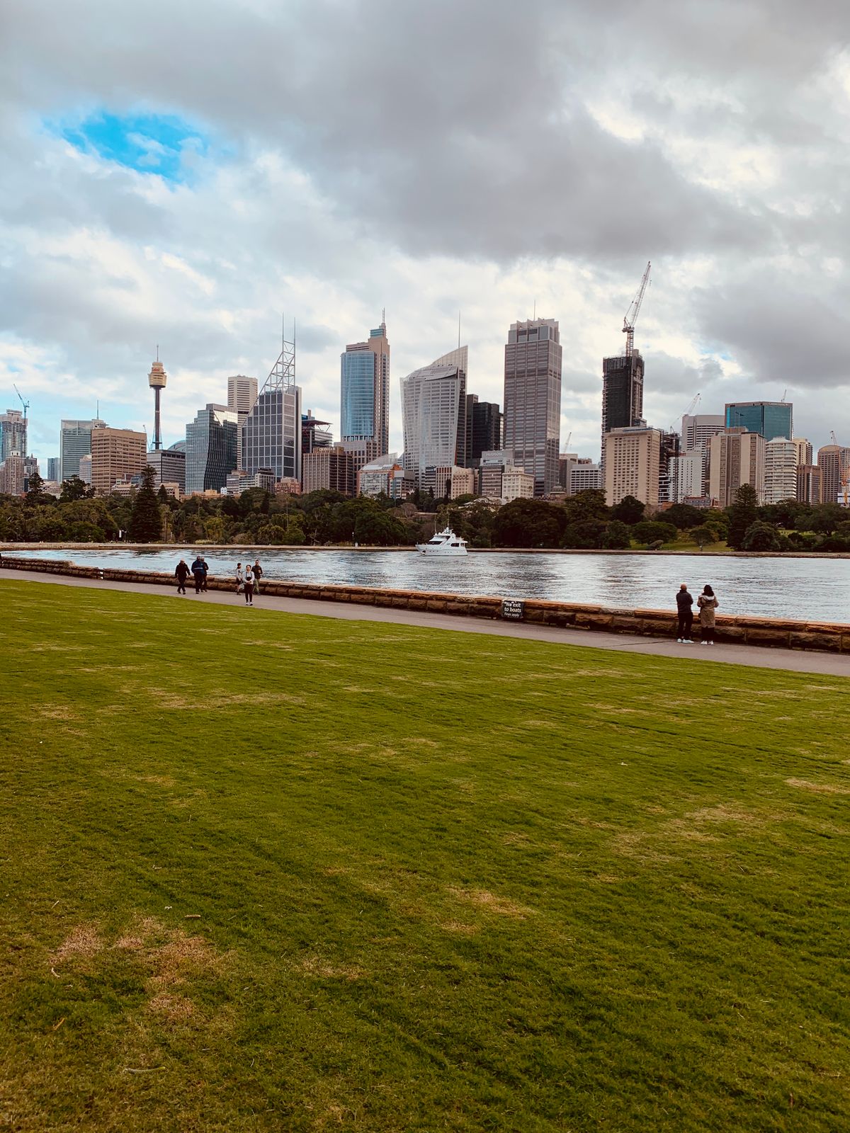 The Sydney CBD skyline seen across a lawn in the Domain