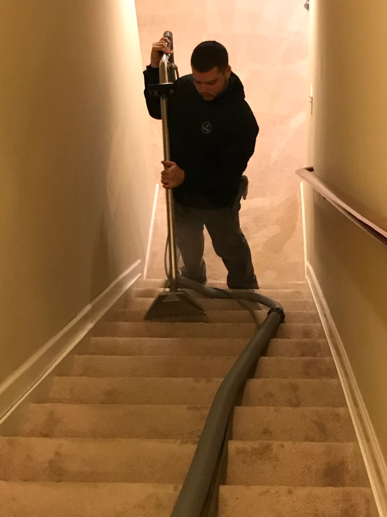Carpet — Stairs Cleaned Step by Step | GREENER STEAMER Columbus Ohio