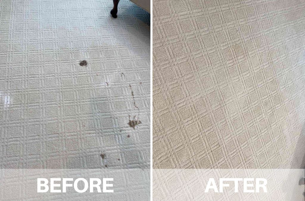 Carpet — Living Room Transformation | GREENER STEAMER Columbus Ohio