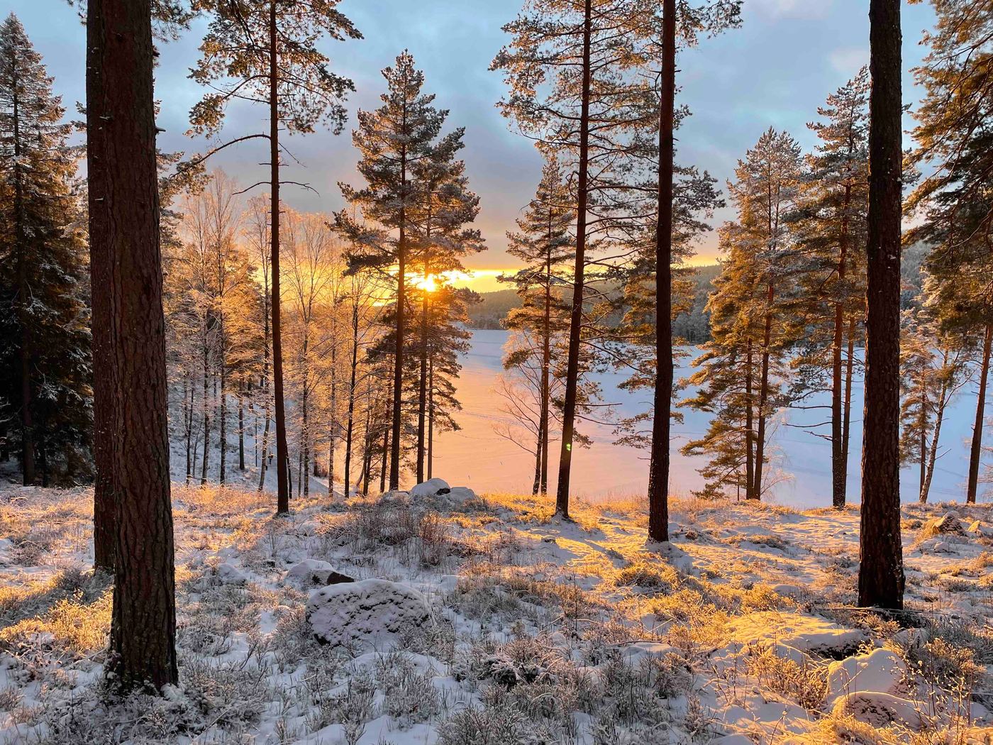 Sognsvann lake near Oslo in winter, with snow-covered trees