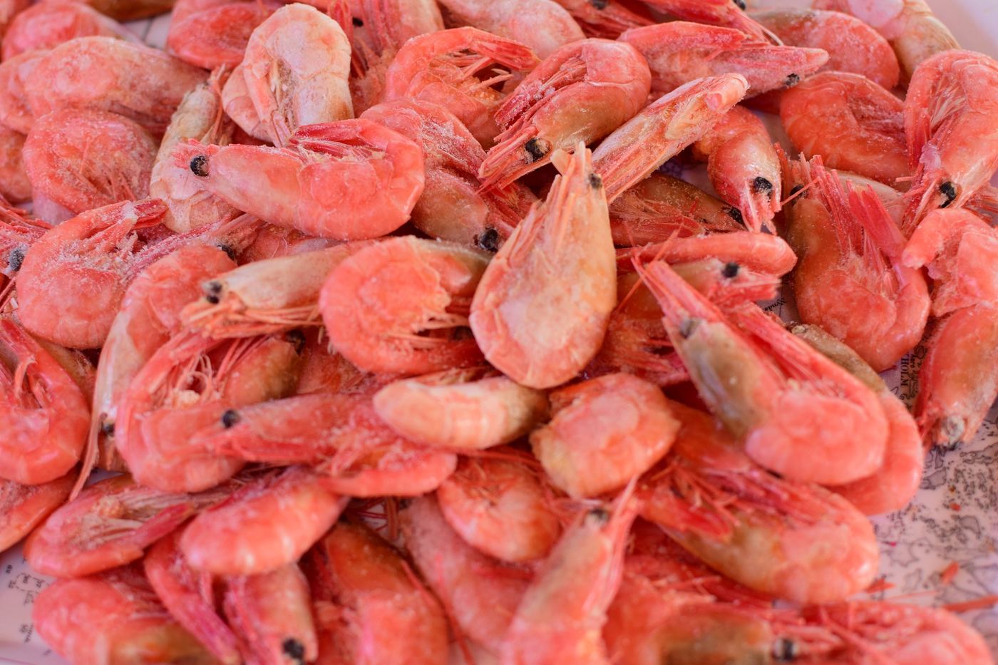 A pile of fresh Norwegian shrimp