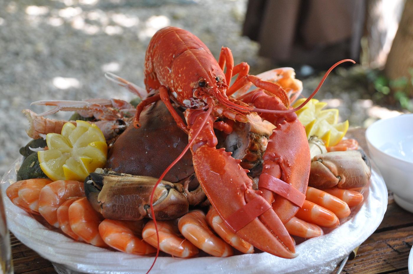 A seafood platter with lobster, crab claws and shrimp