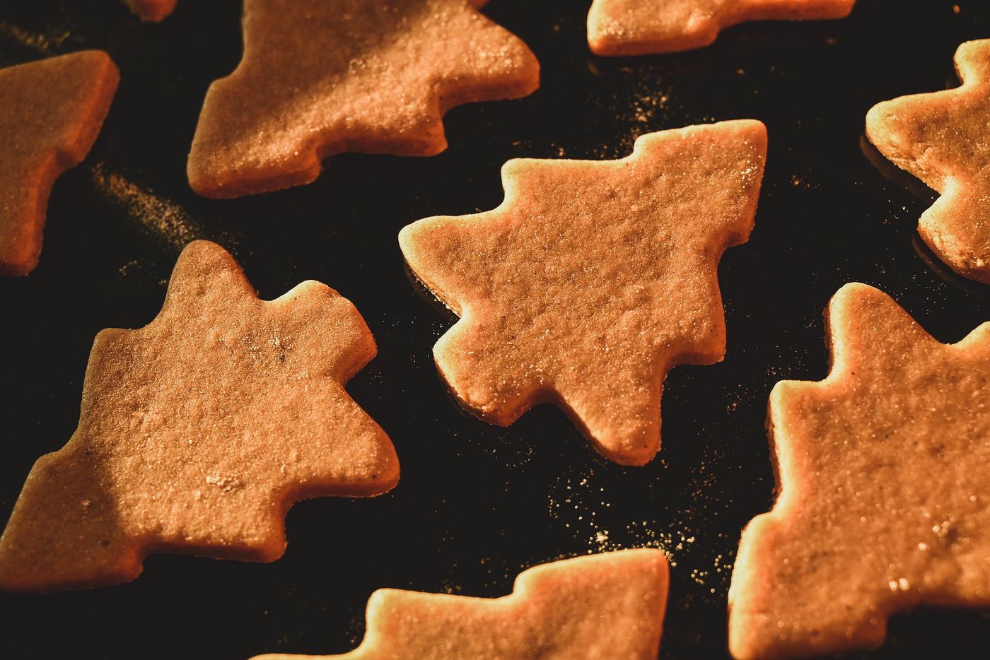 Pepperkaker gingerbread biscuits shaped like Christmas trees on a dark table