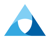 Church Security logo