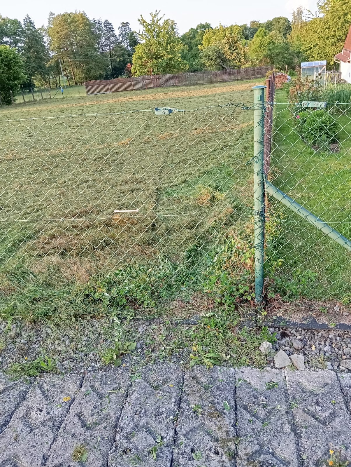Pozemek Palkovice-Myslík – pohled 2