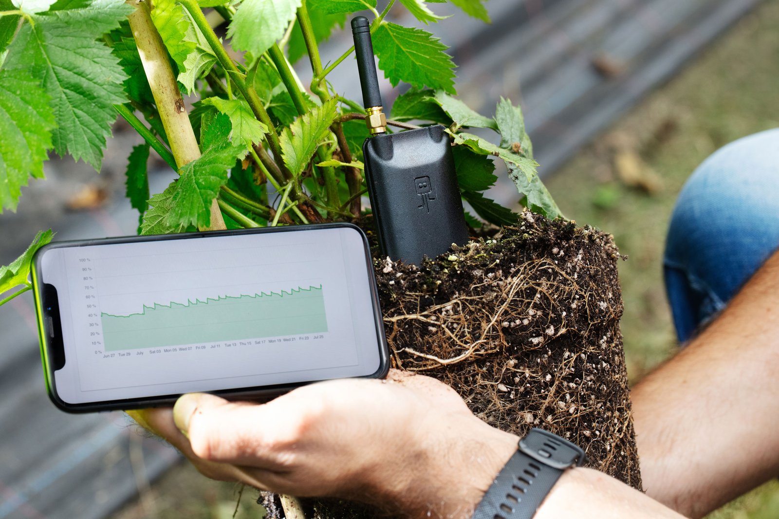 Horticulture IoT sensors