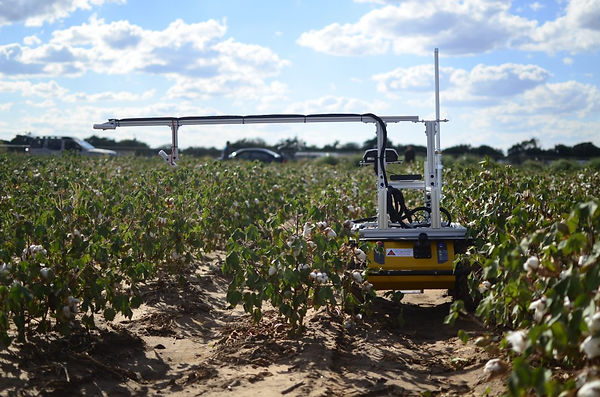 UTA Robotics Vision Lab rover with sensor payload