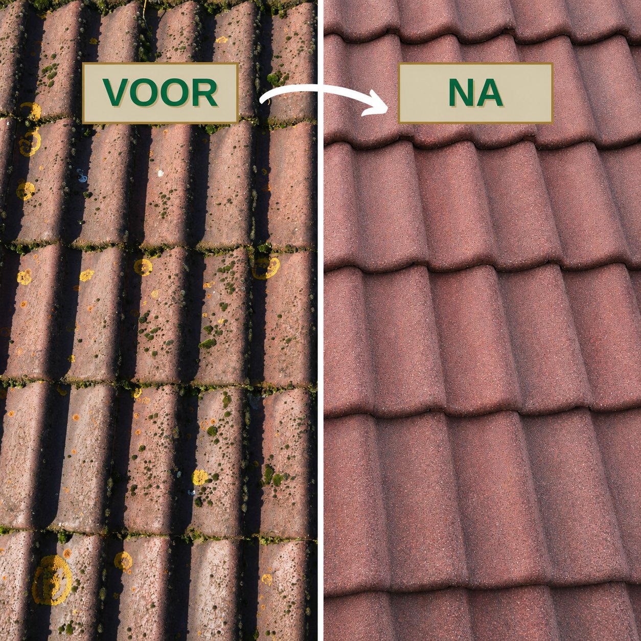 Voor & Na — dak ontmossen