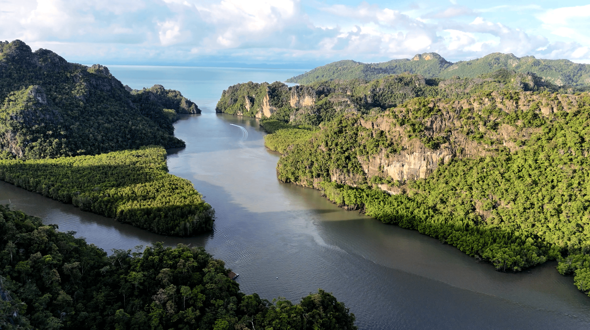 Aerial view of a river winding between limestone karst and mangroves in Langkawi's Kilim area