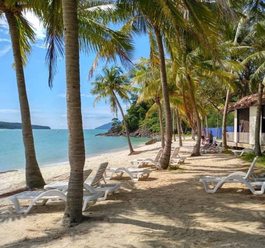 Sun loungers under coconut palms on a Langkawi beach