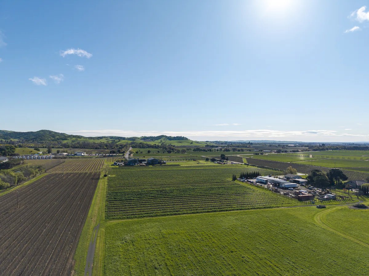Anselmo Damonte Estate — Winery Detail