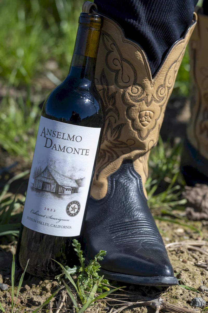 Anselmo Damonte Estate — Valley Morning