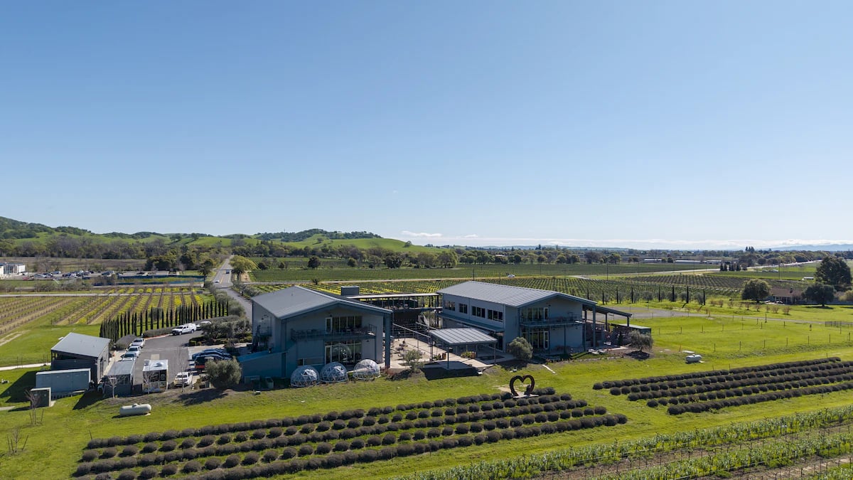 Anselmo Damonte Estate — Winemaking