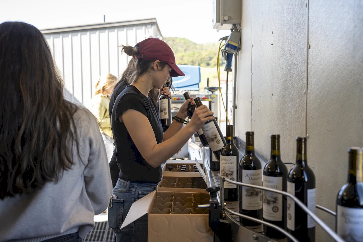 Anselmo Damonte Estate — Family Heritage