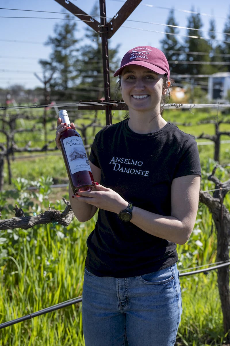 Anselmo Damonte Estate — Cellar Door