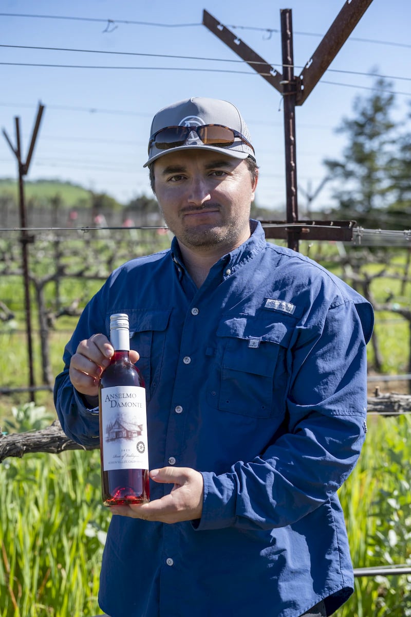 Anselmo Damonte Estate — Autumn Vines