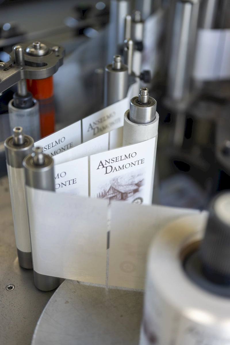 Anselmo Damonte Estate — Harvest Season