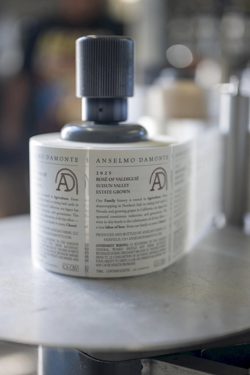 Anselmo Damonte Estate — Vineyard Life