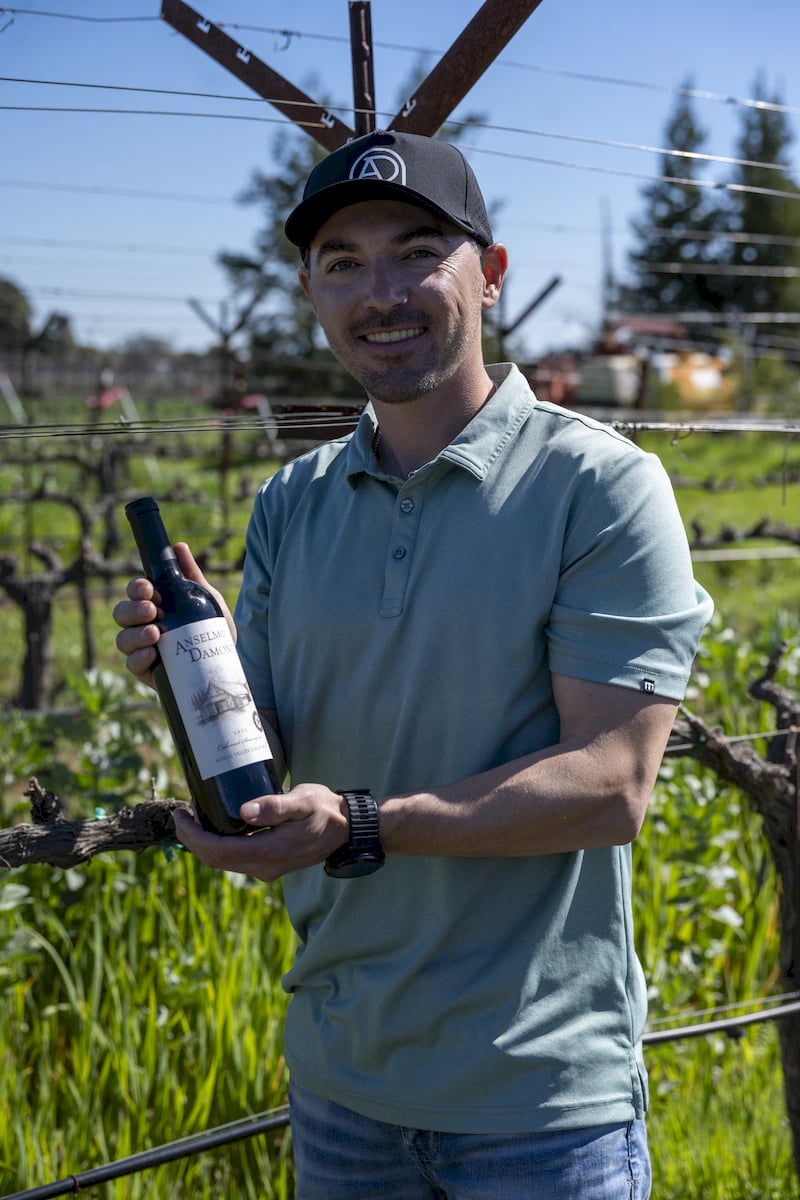 Anselmo Damonte Estate — Rolling Hills