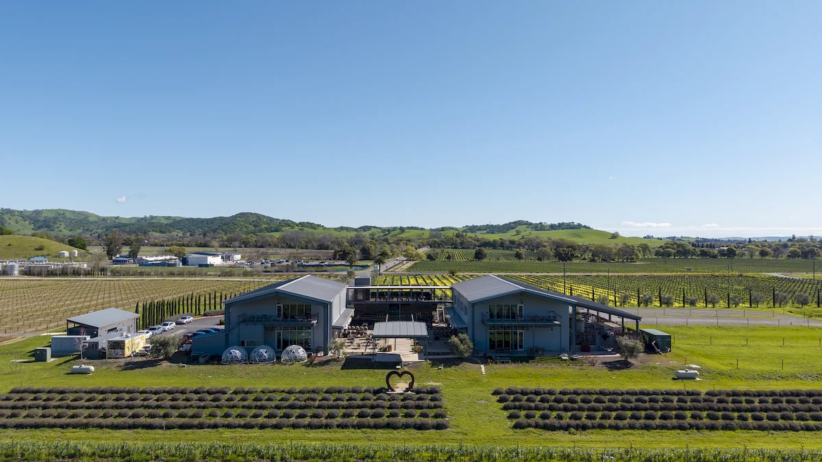 Anselmo Damonte Estate — Old Vines