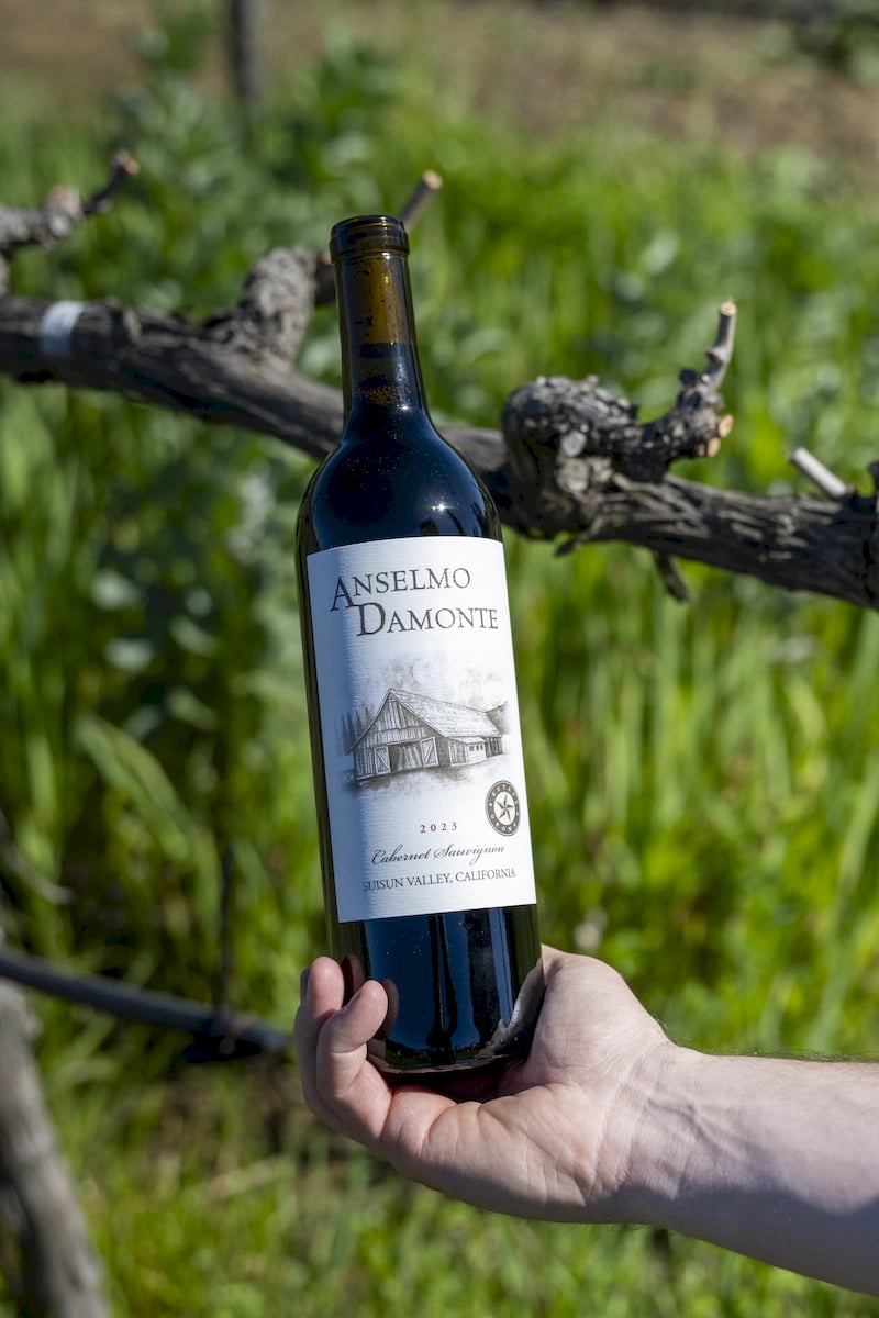 Anselmo Damonte Estate — Vine Detail