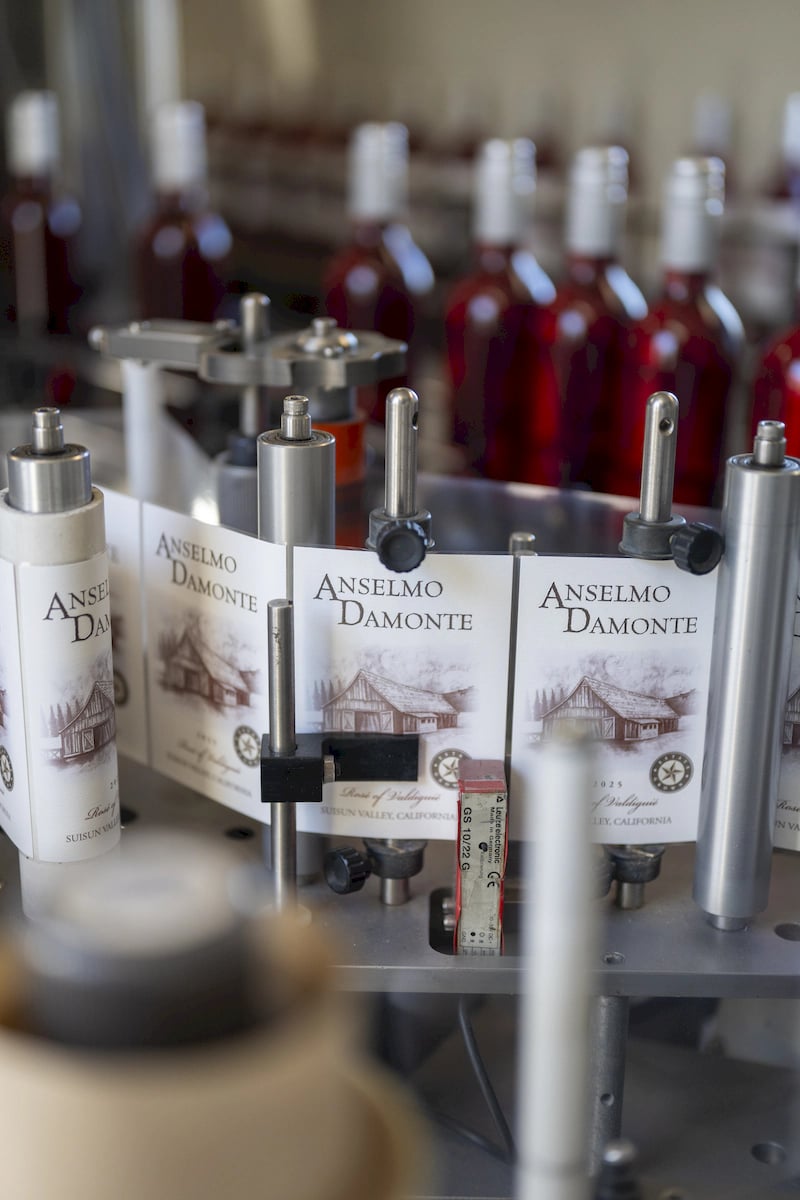 Anselmo Damonte Estate — Vineyard Walk