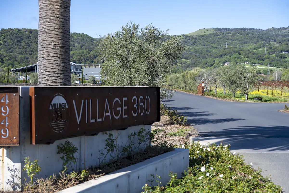 Anselmo Damonte Estate — Winery Craft