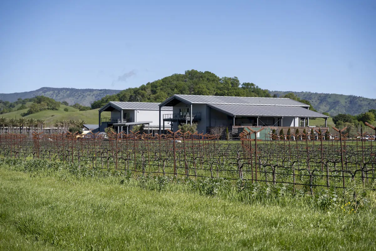 Anselmo Damonte Estate — Heritage Vines