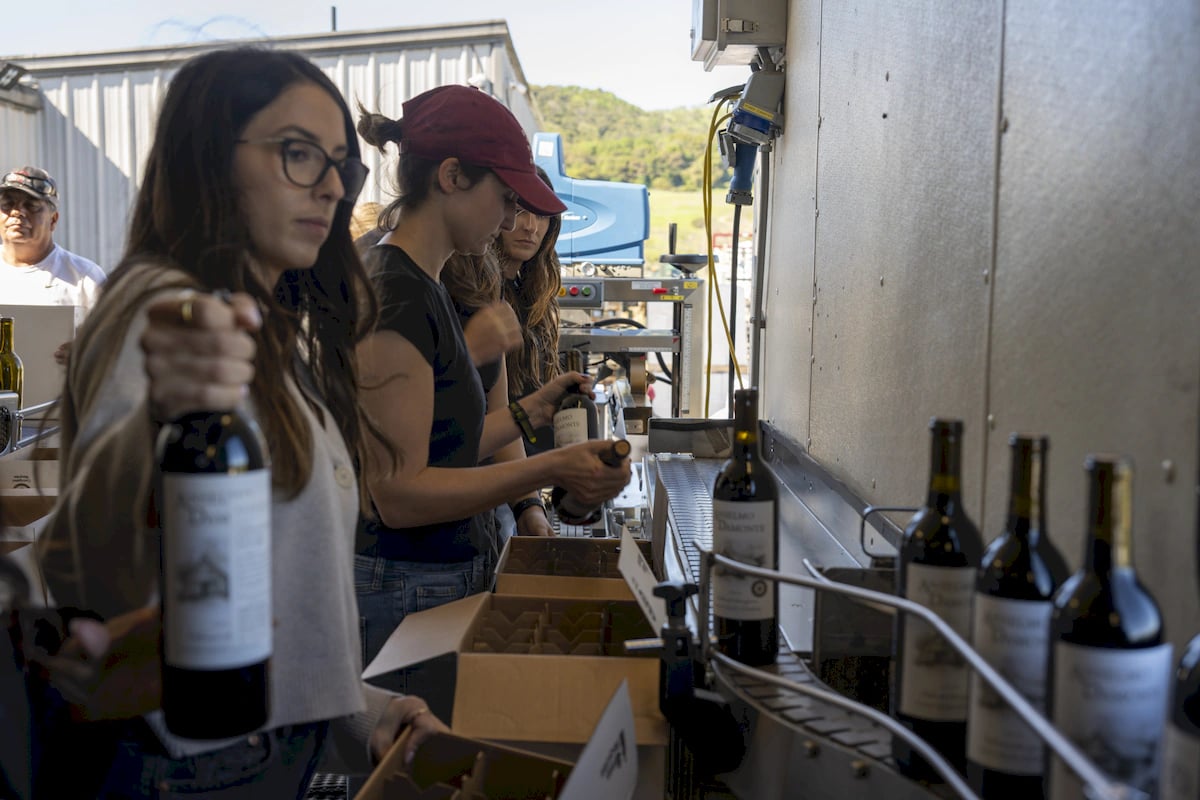 Anselmo Damonte Estate — Estate Summer