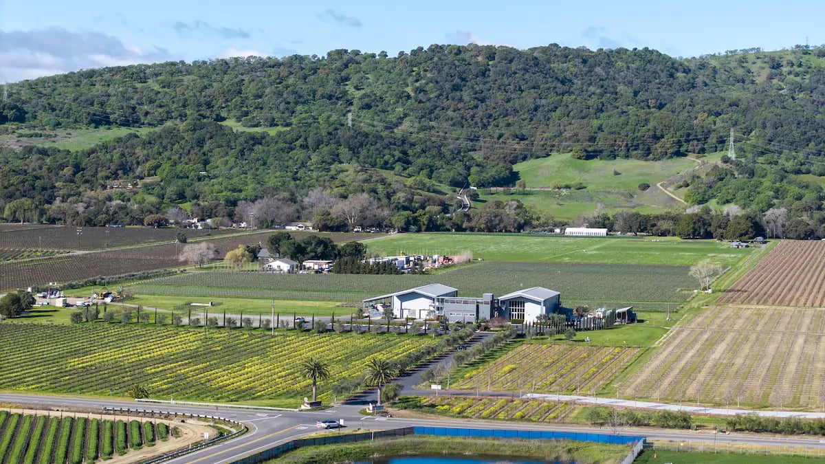 Anselmo Damonte Estate — The Estate