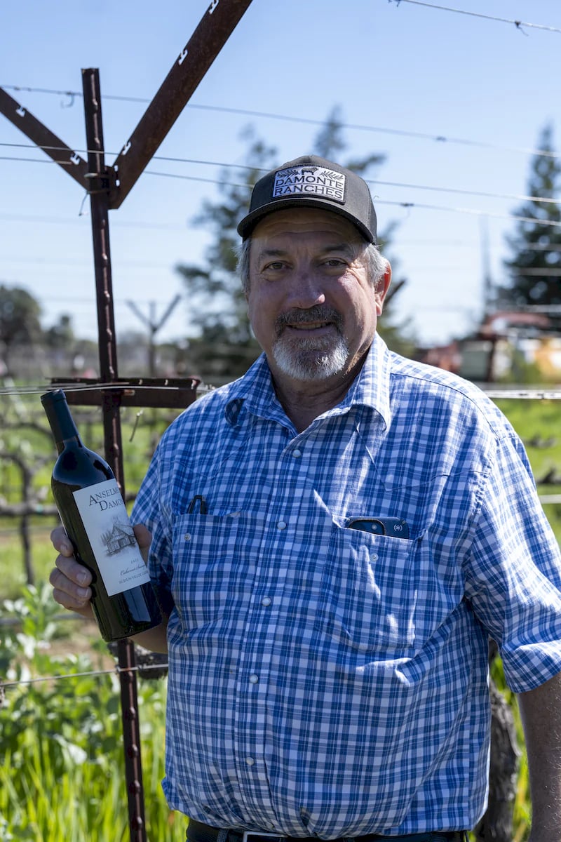 Anselmo Damonte Estate — Estate Summer