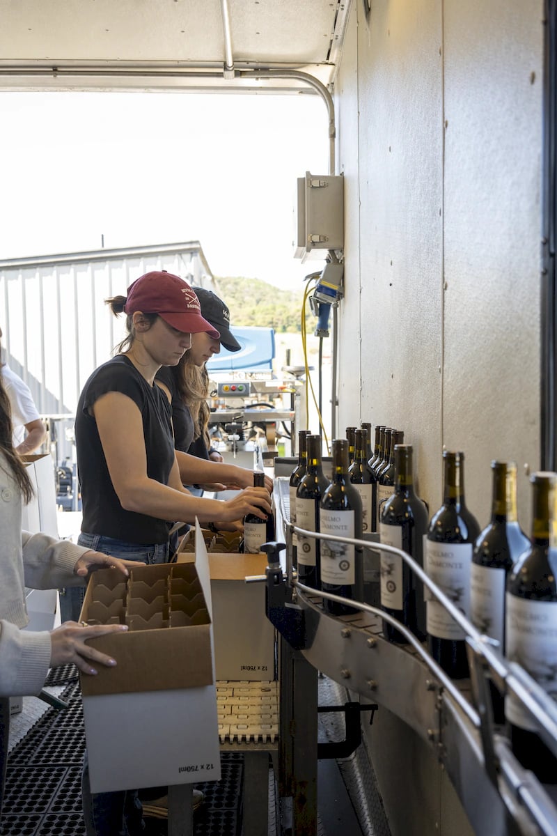 Anselmo Damonte Estate — Harvest Light