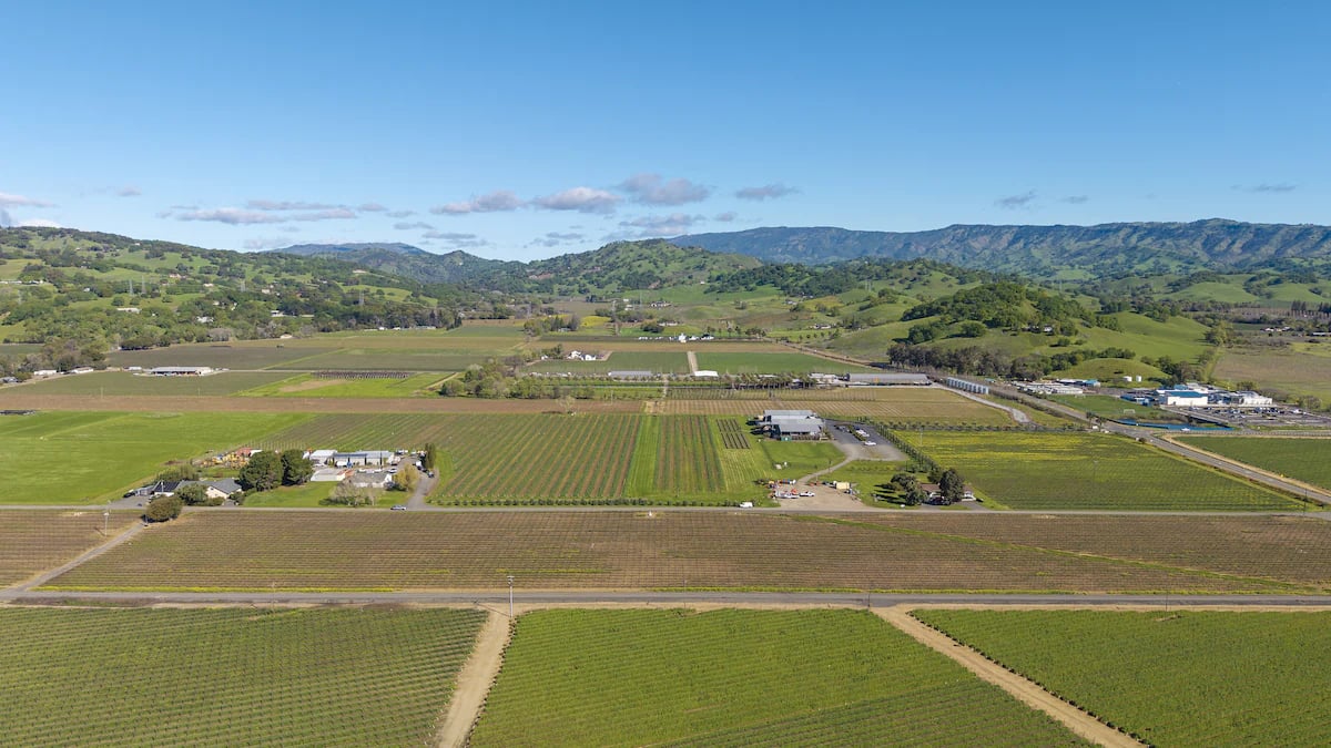 Anselmo Damonte Estate — Estate Portrait
