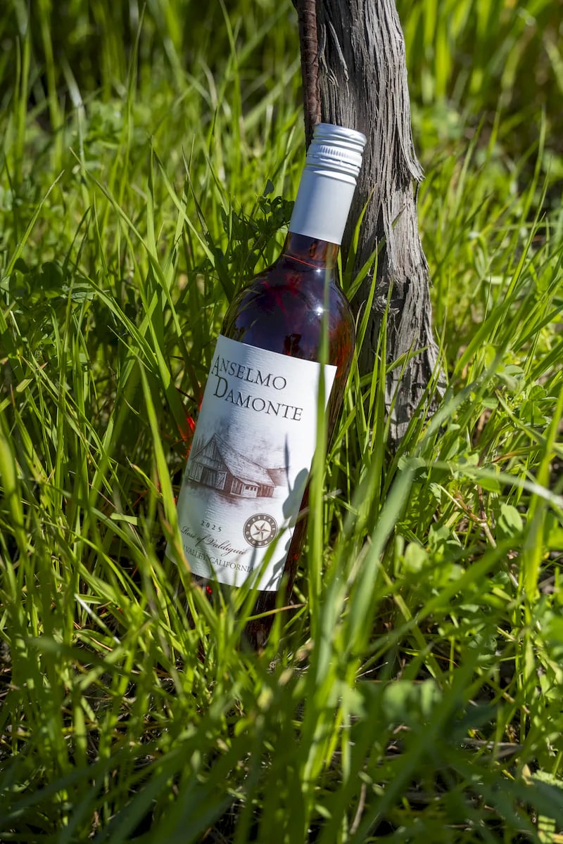 Anselmo Damonte Estate — Vine & Soil