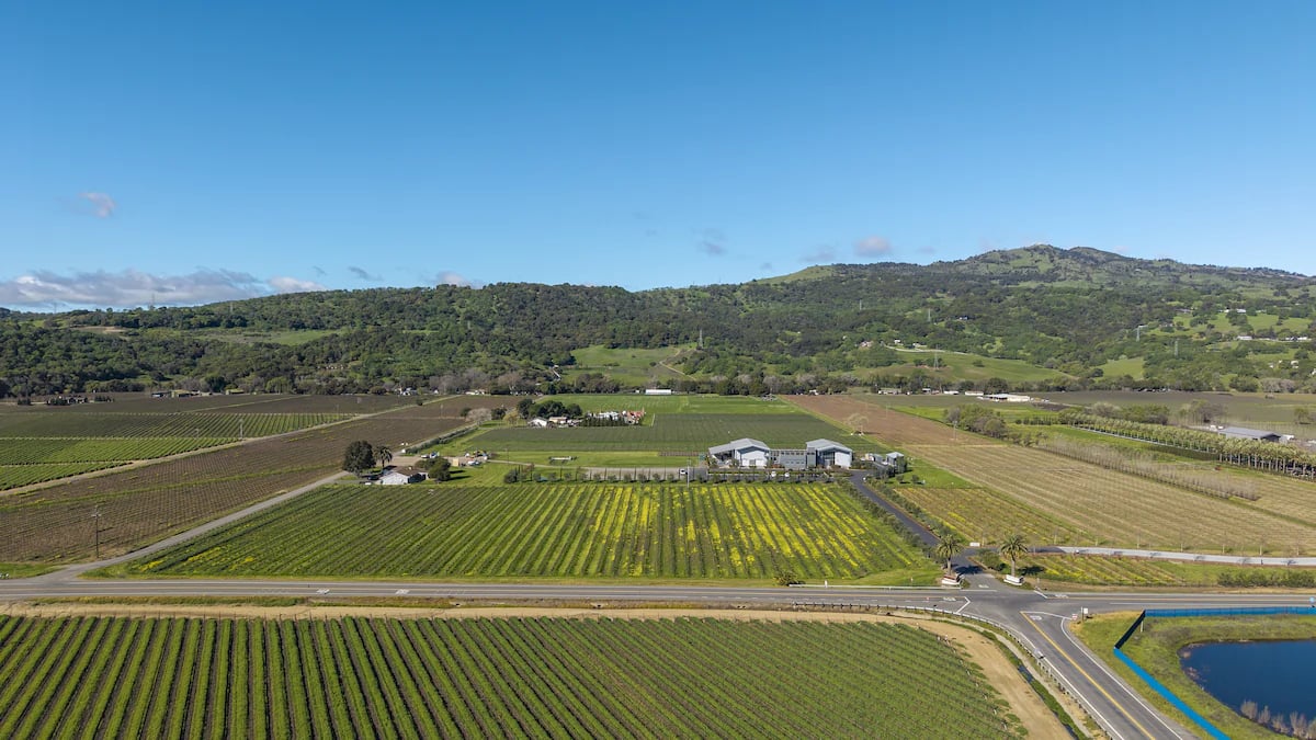 Anselmo Damonte Estate — Estate Life