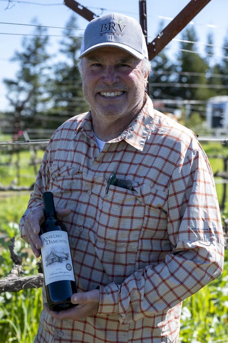 Anselmo Damonte Estate — Harvest Work