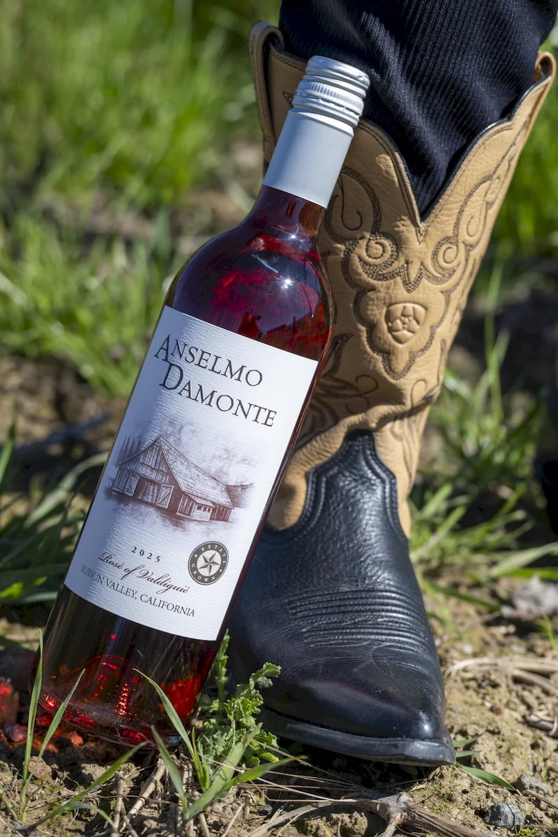 Anselmo Damonte Estate — Vineyard Landscape