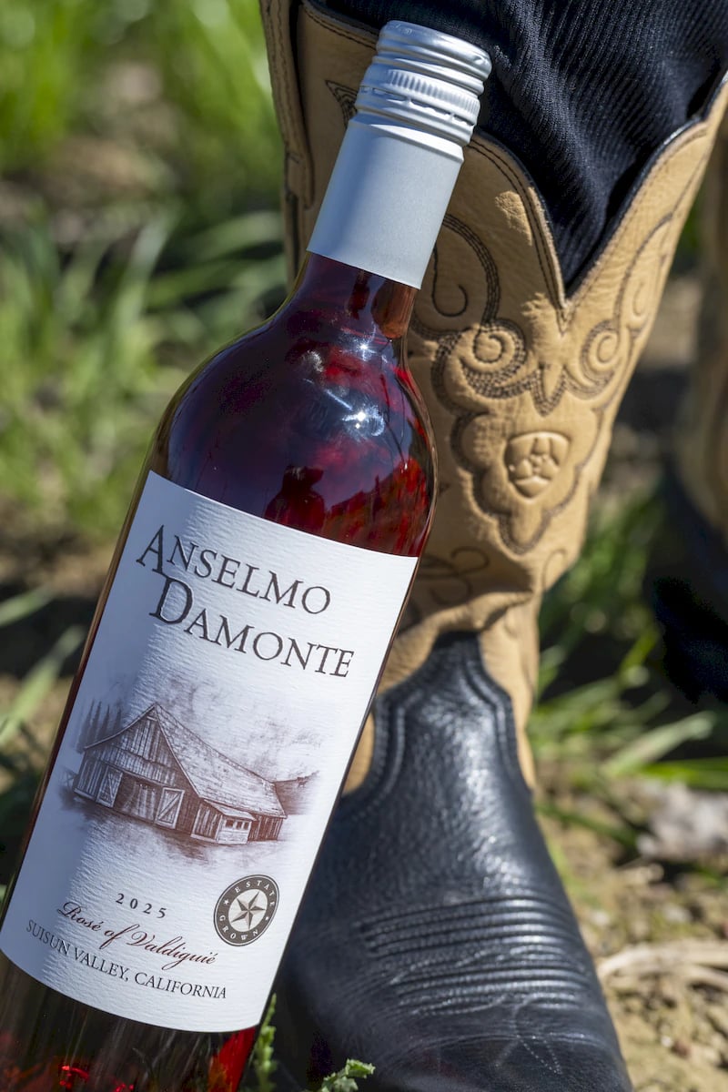 Anselmo Damonte Estate — Winery Grounds