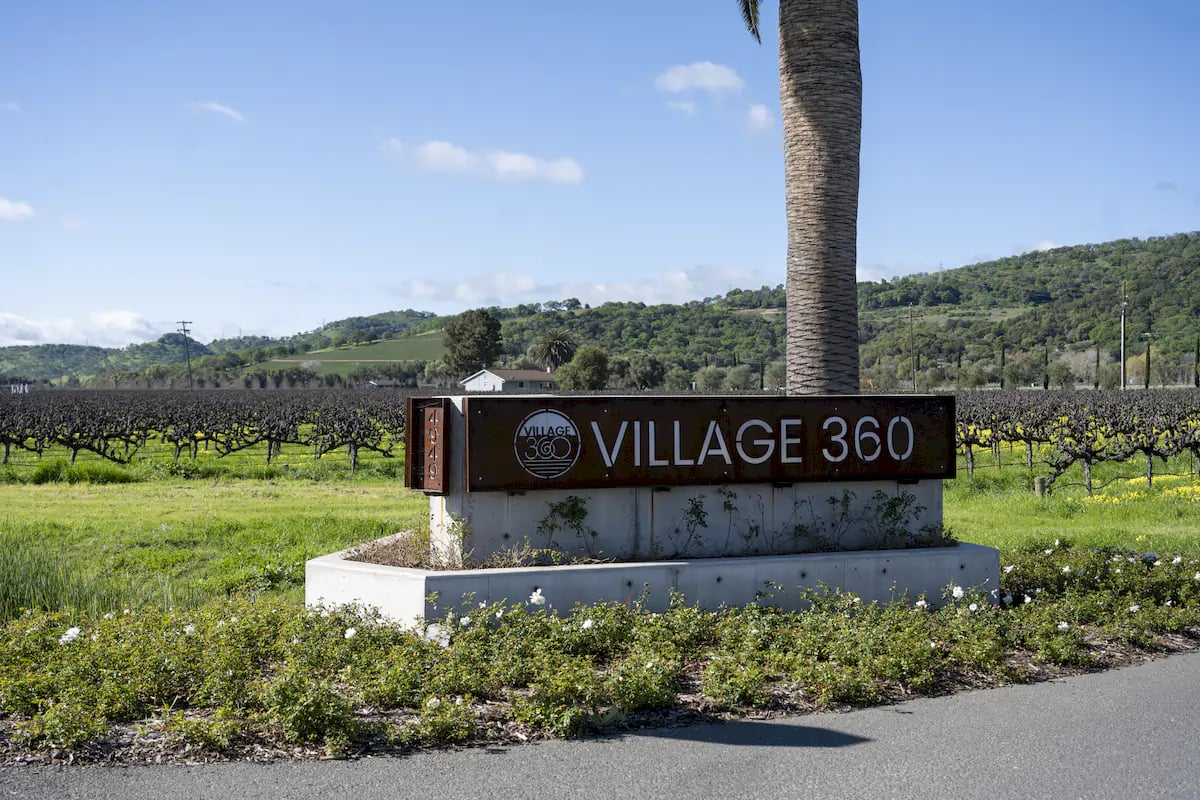 Anselmo Damonte Estate — Wine Making