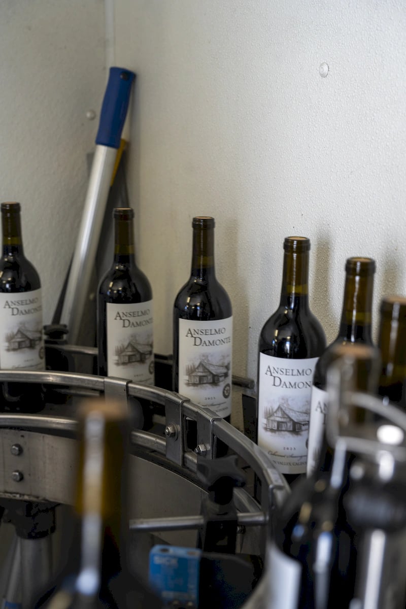 Anselmo Damonte Estate — Estate Landscape