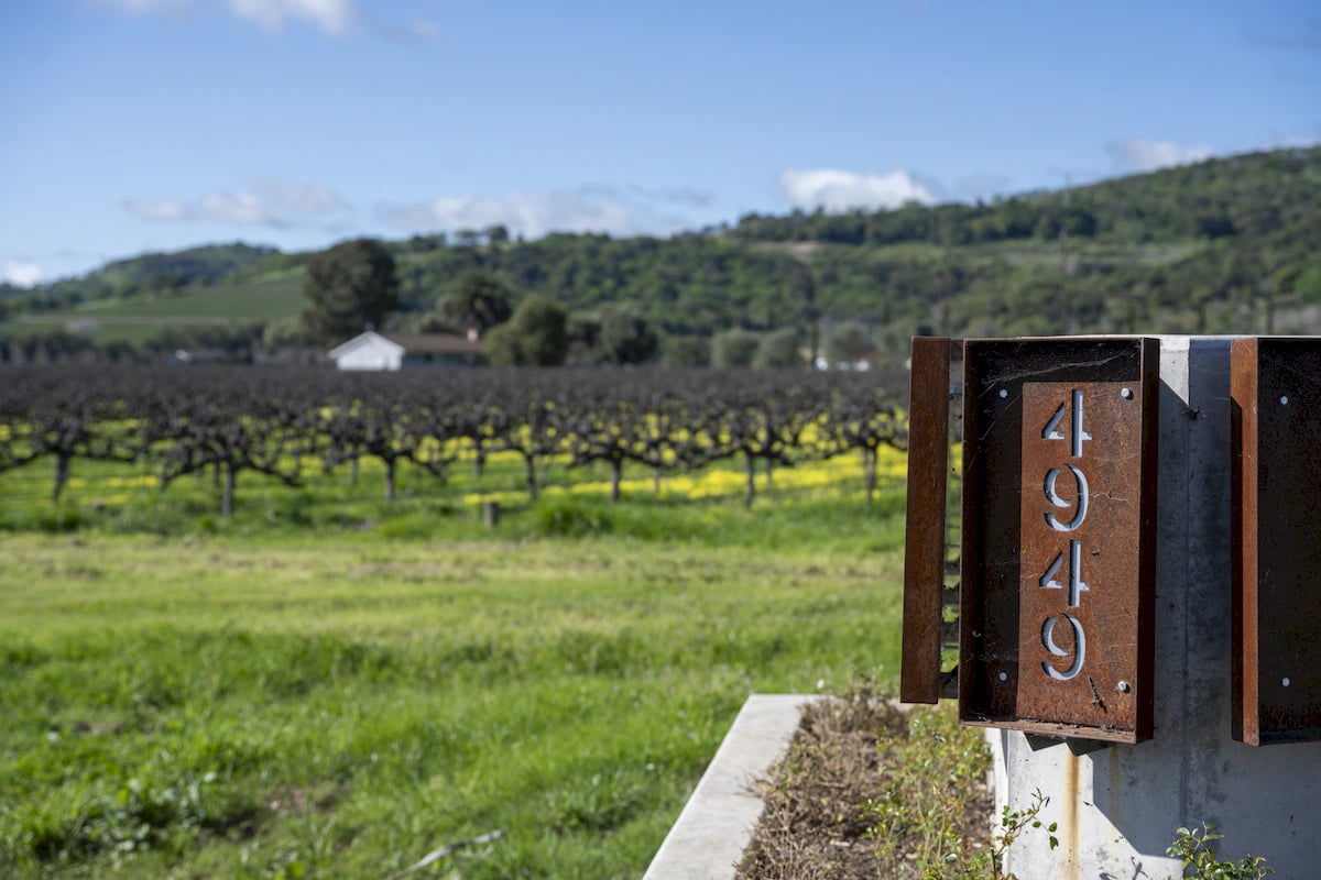 Anselmo Damonte Estate — First Vintage