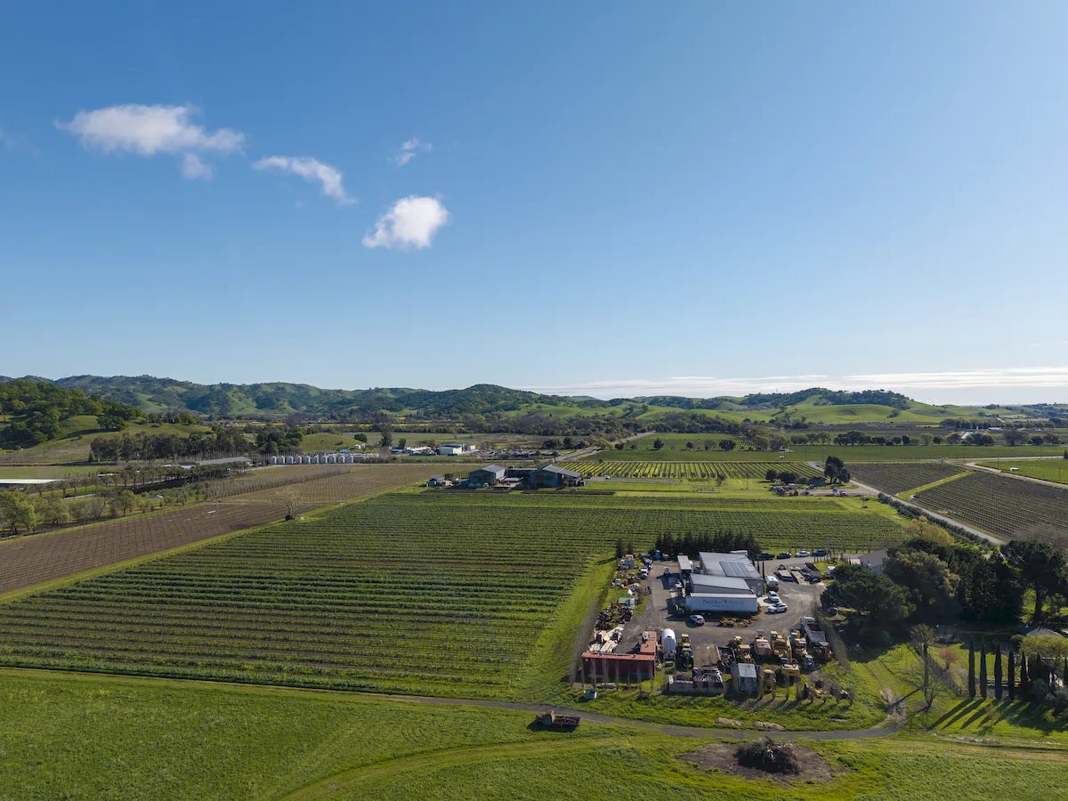 Anselmo Damonte Estate — Vineyard Gates