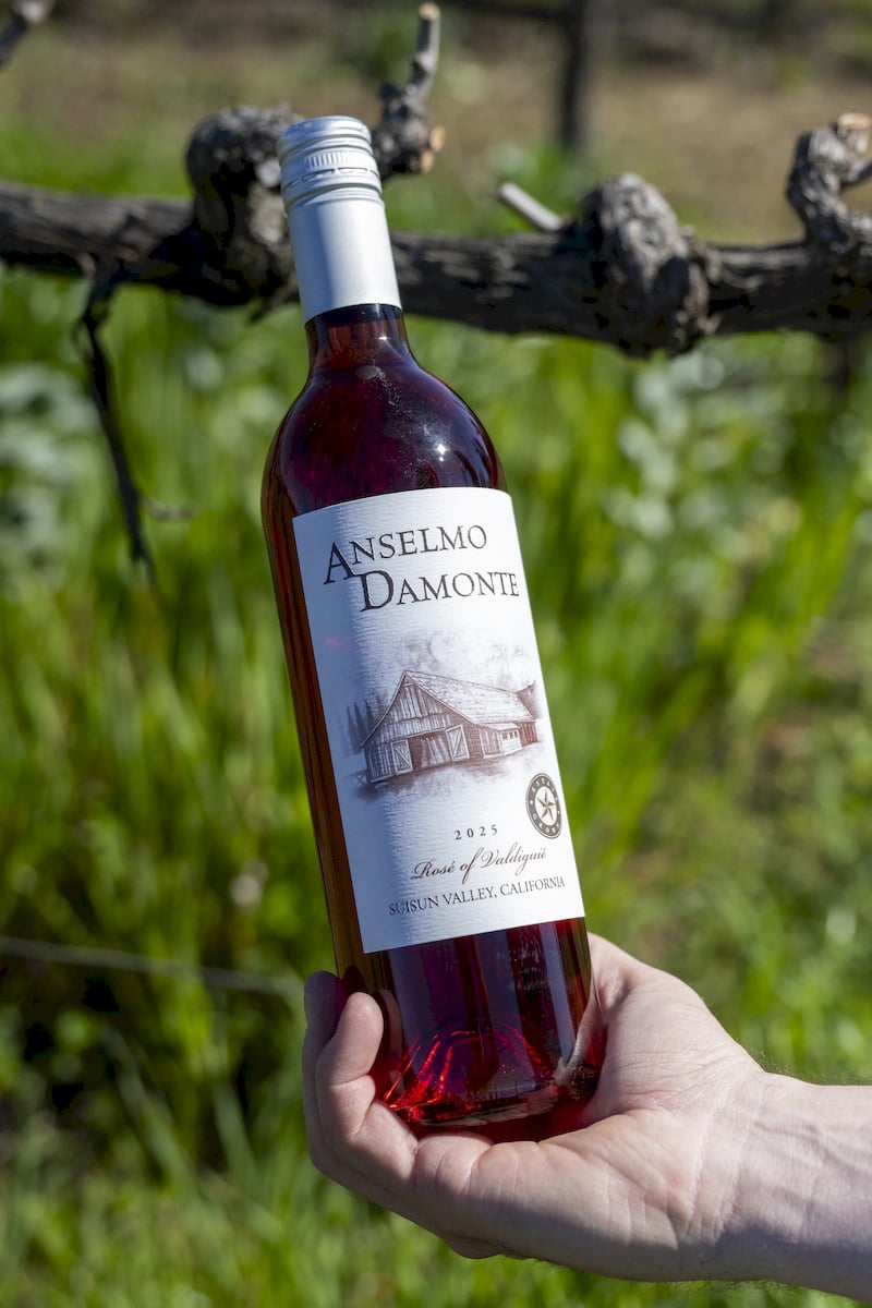 Anselmo Damonte Estate — Suisun Valley