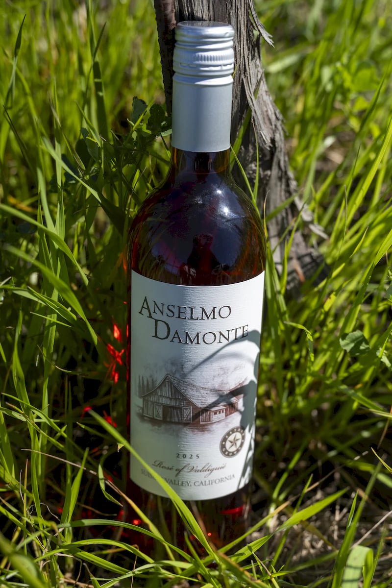 Anselmo Damonte Estate — Harvest Season